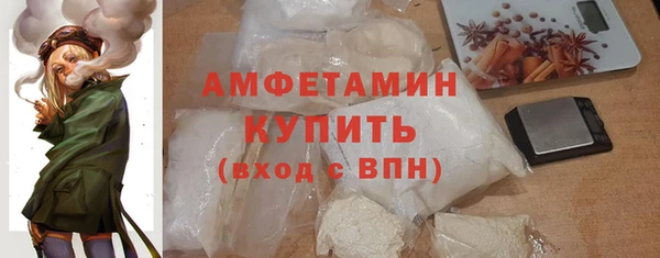 индика Нея