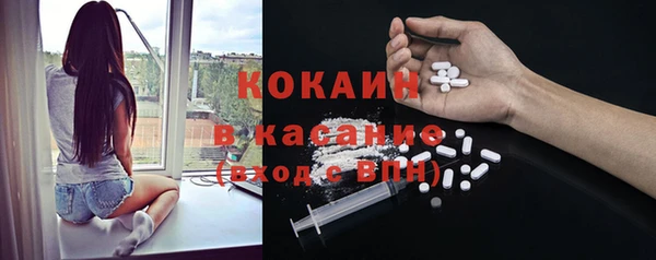 индика Нея