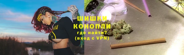 индика Нея