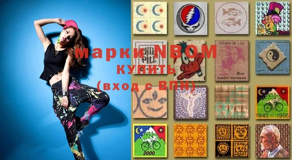 индика Нея