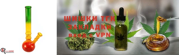 индика Нея
