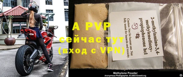 индика Нея