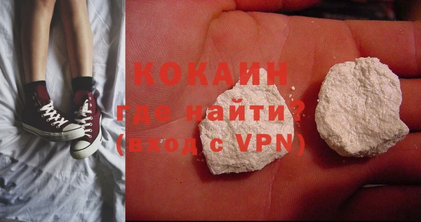 индика Нея