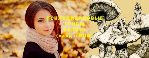мескалин Нефтекумск