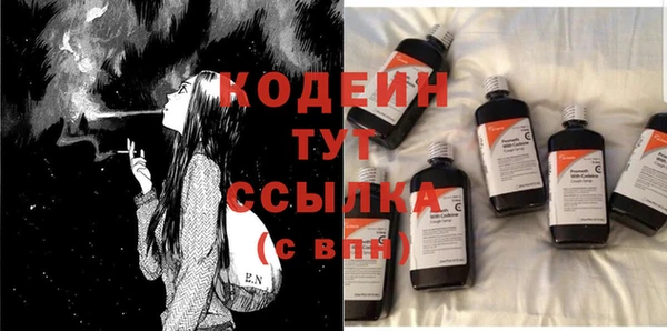 индика Нея