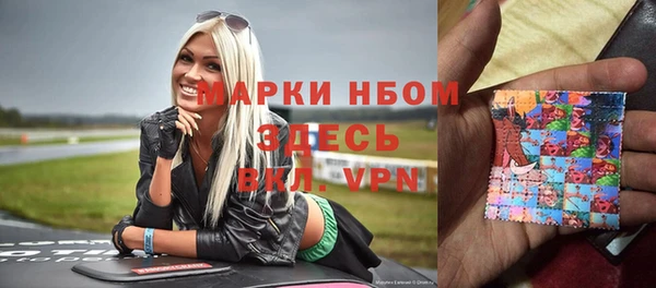 индика Нея